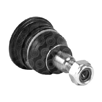 RÓTULA INFERIOR DELANTERA IZQUIERDA_DERECHA JAC STAR TNK Rótula inferior delantera izquierda o derecha para JAC Star TNK